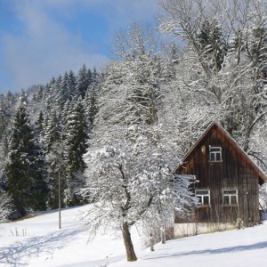 Winter in Tennenbronn